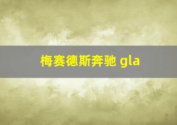 梅赛德斯奔驰 gla